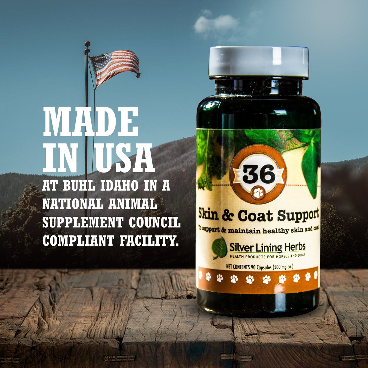 36 Skin & Coat Support for Canines