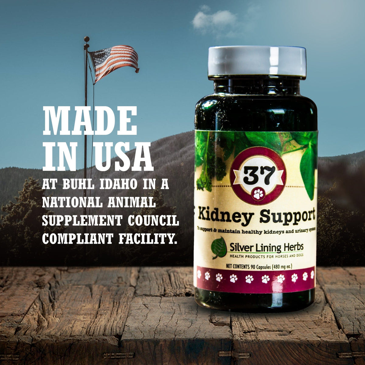 37 Kidney Support for Canines - 90 Capsule