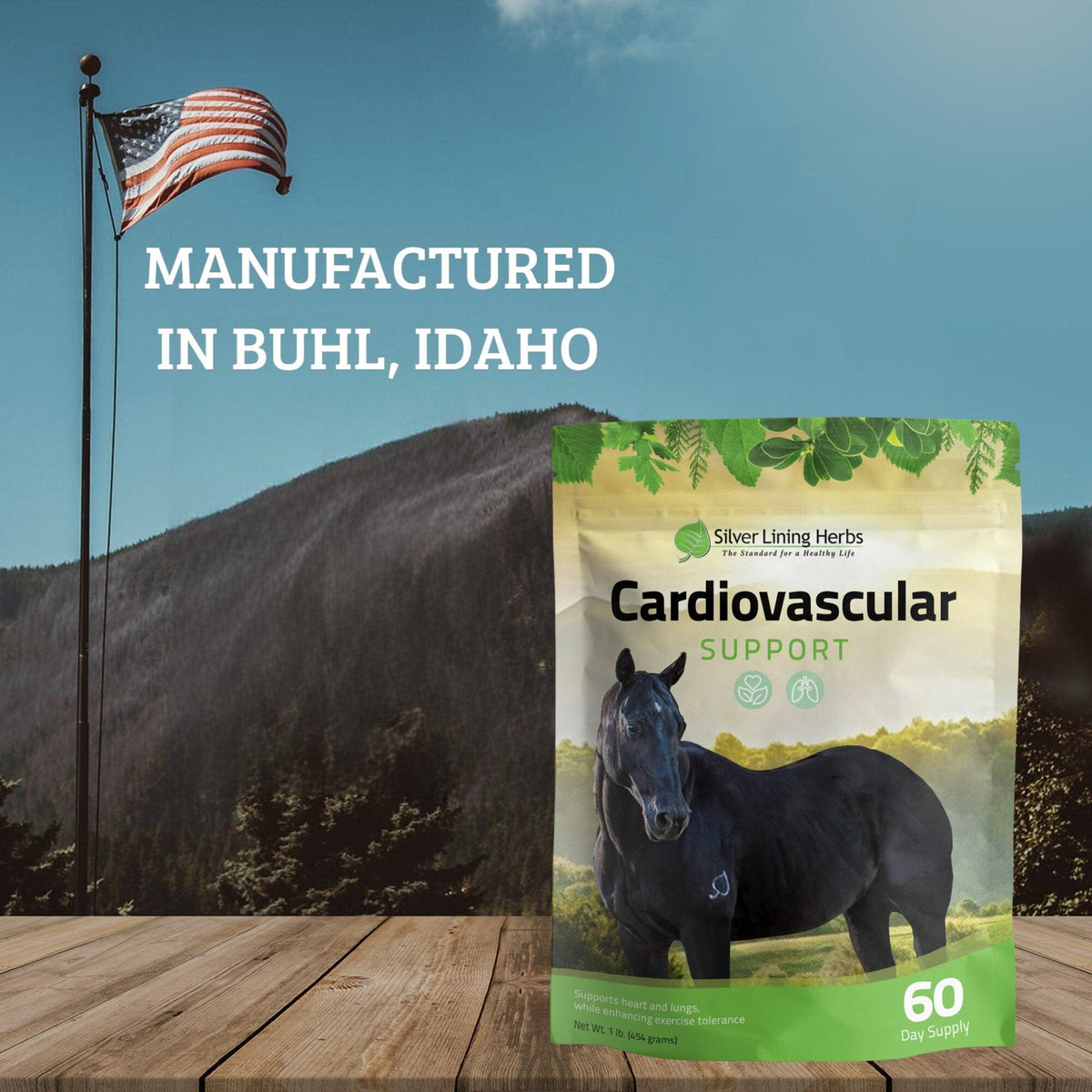 Cardiovascular Support for Horses