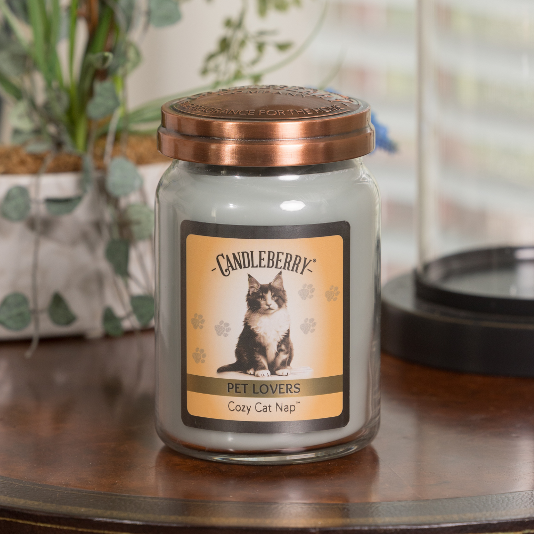 Cozy Cat Nap - Large Jar Candle (Collective)