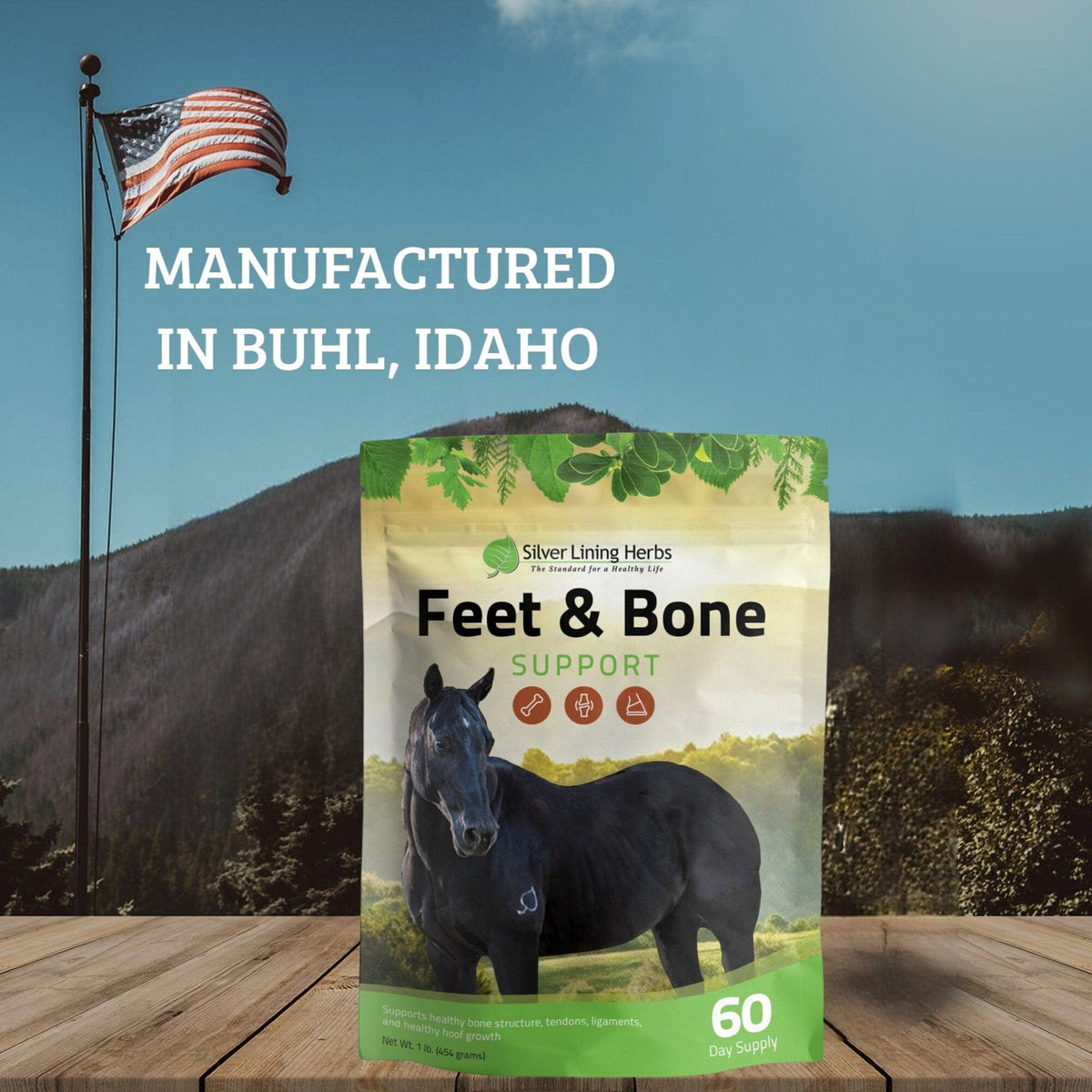 Feet & Bone Support for Horses