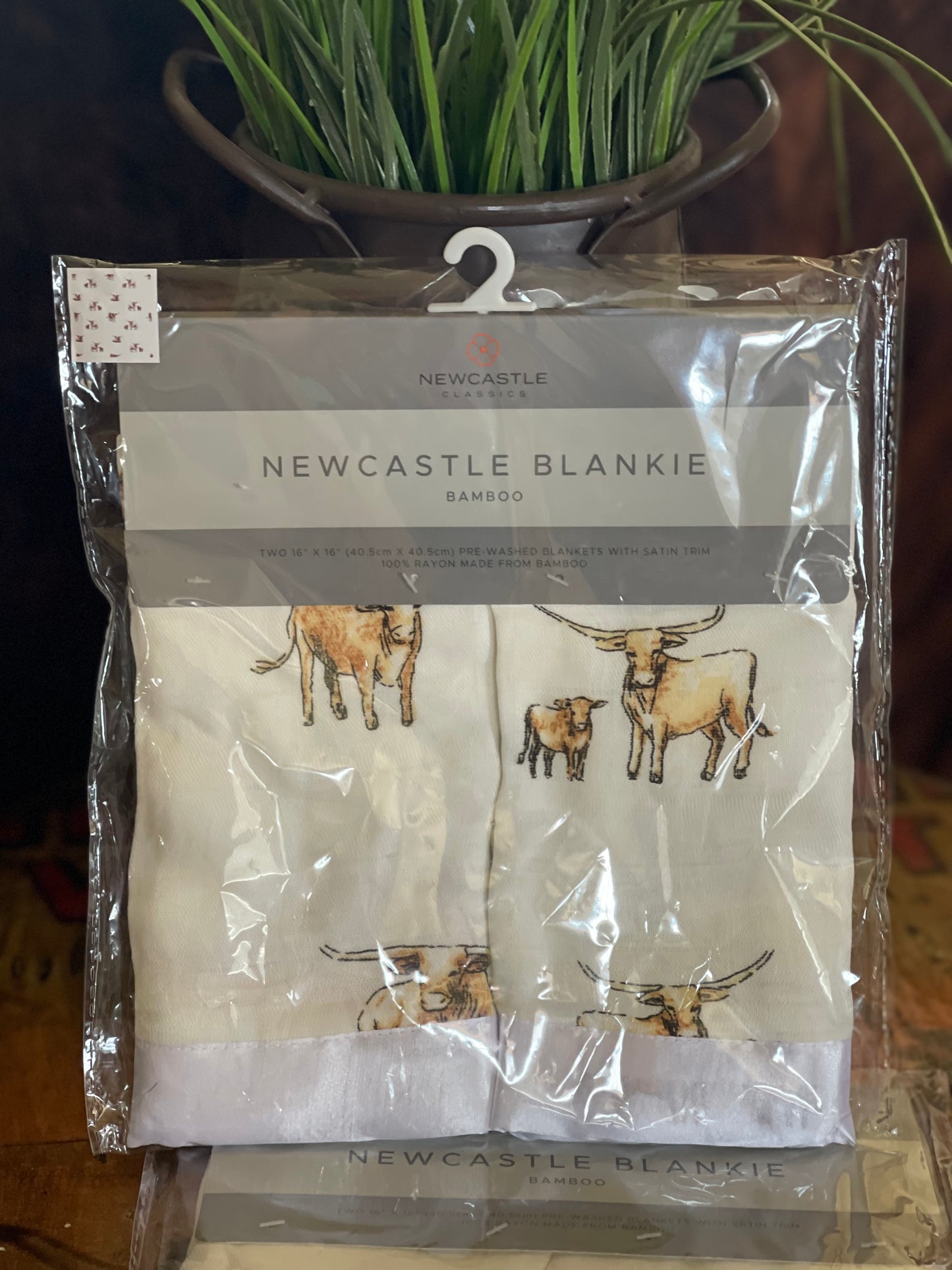Longhorn Blankie