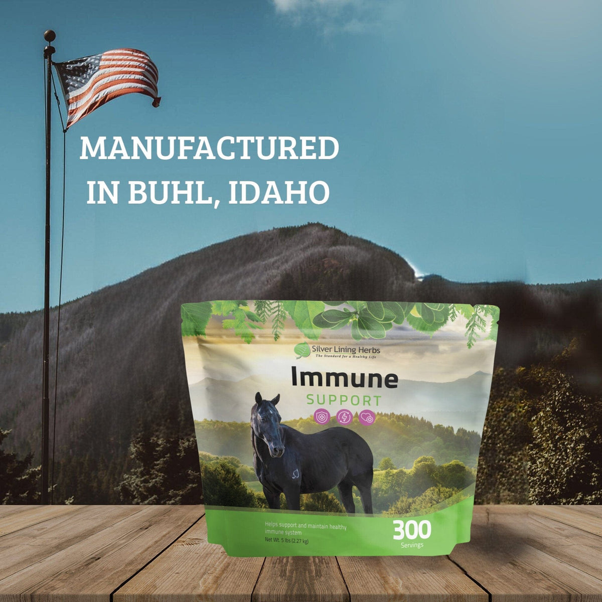 Immune Support for Horses