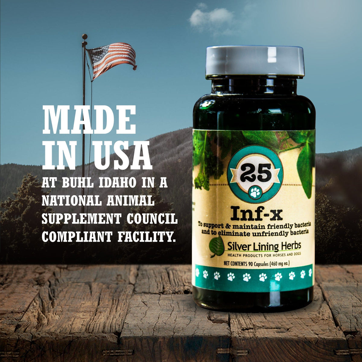 INF-X for Canines - 90 Capsules
