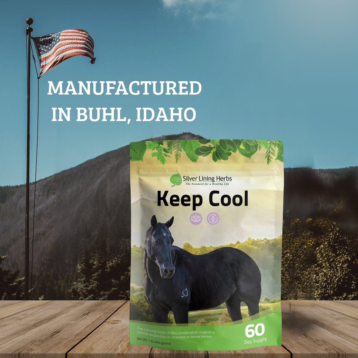Keep Cool for Horses