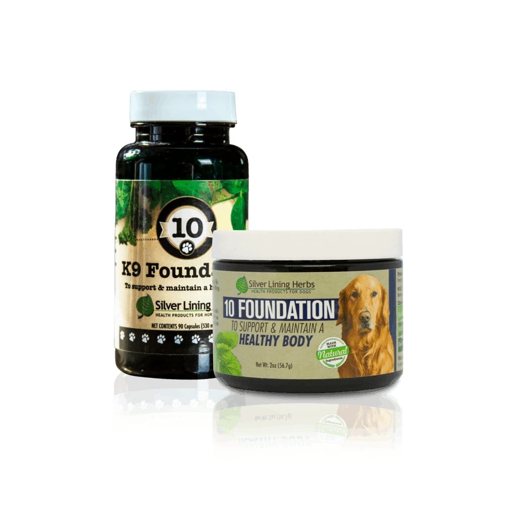 Foundation for Canines