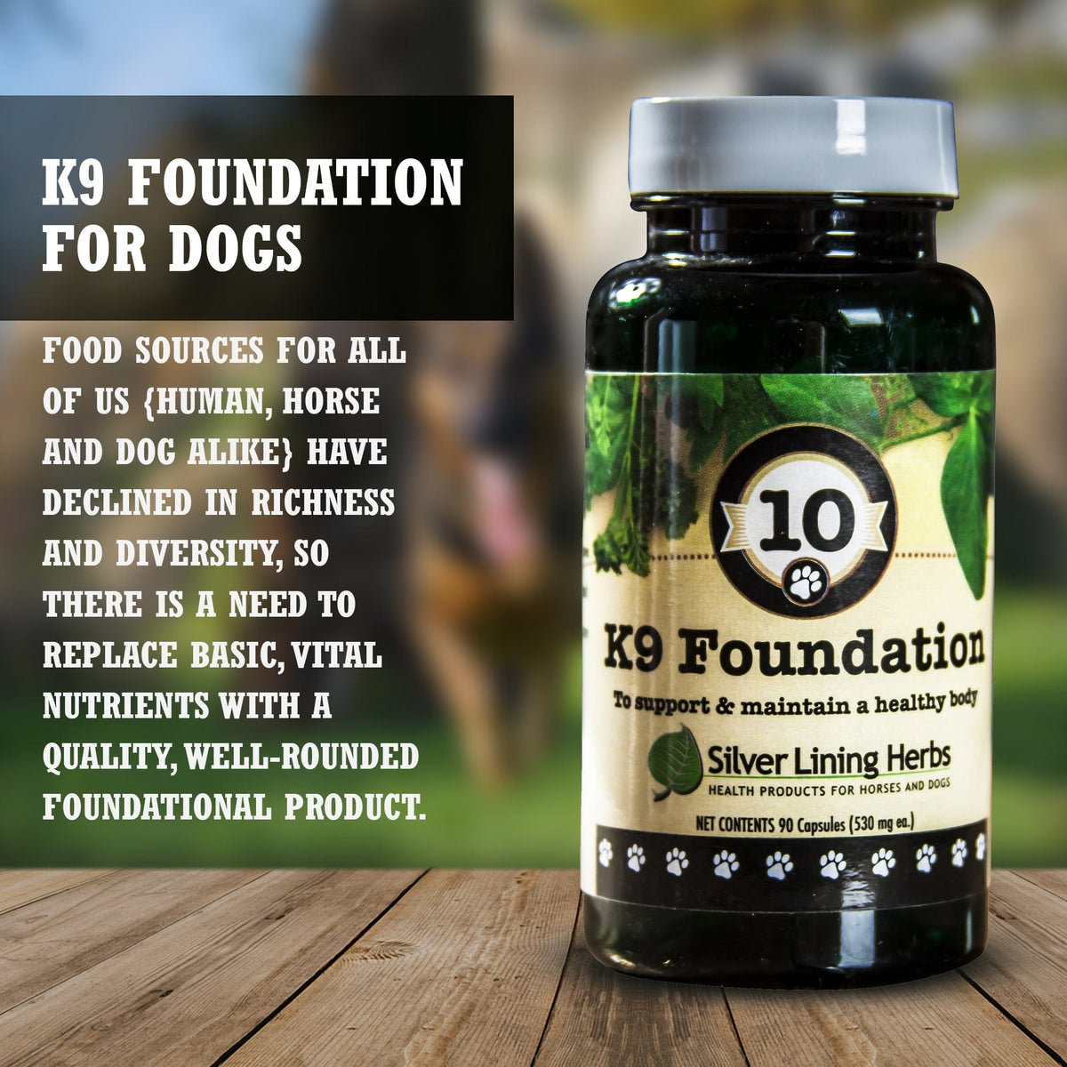 Foundation for Canines