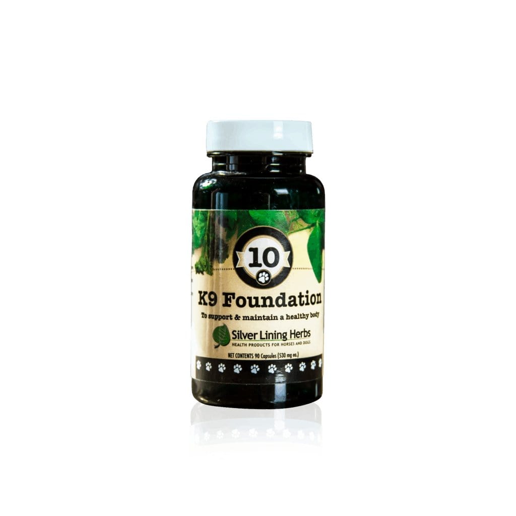 Foundation for Canines