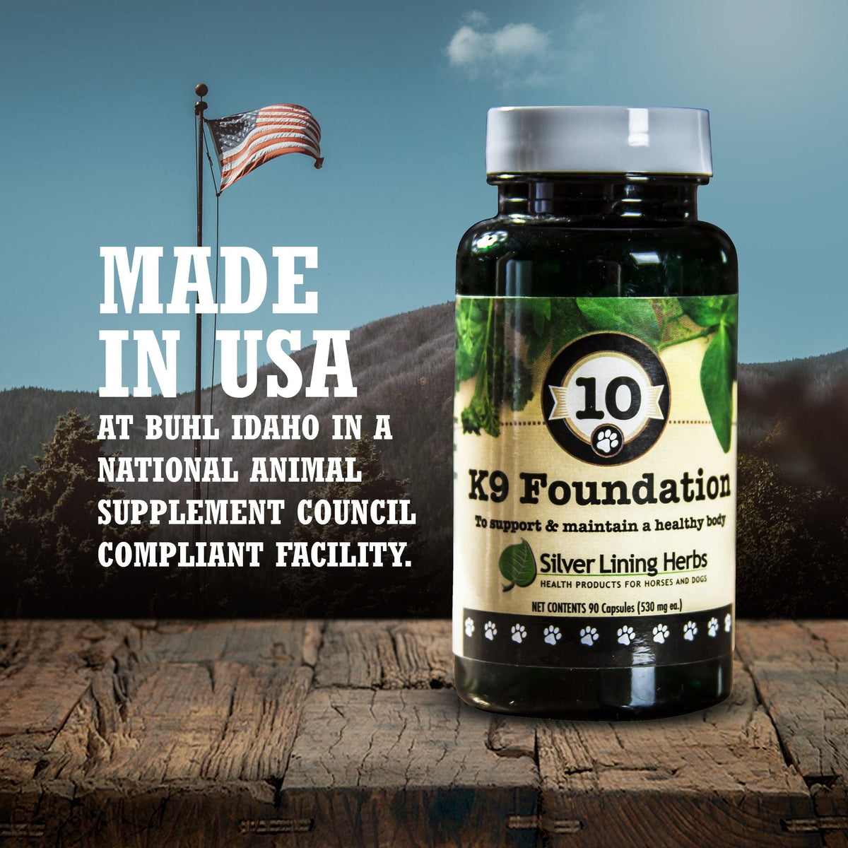Foundation for Canines