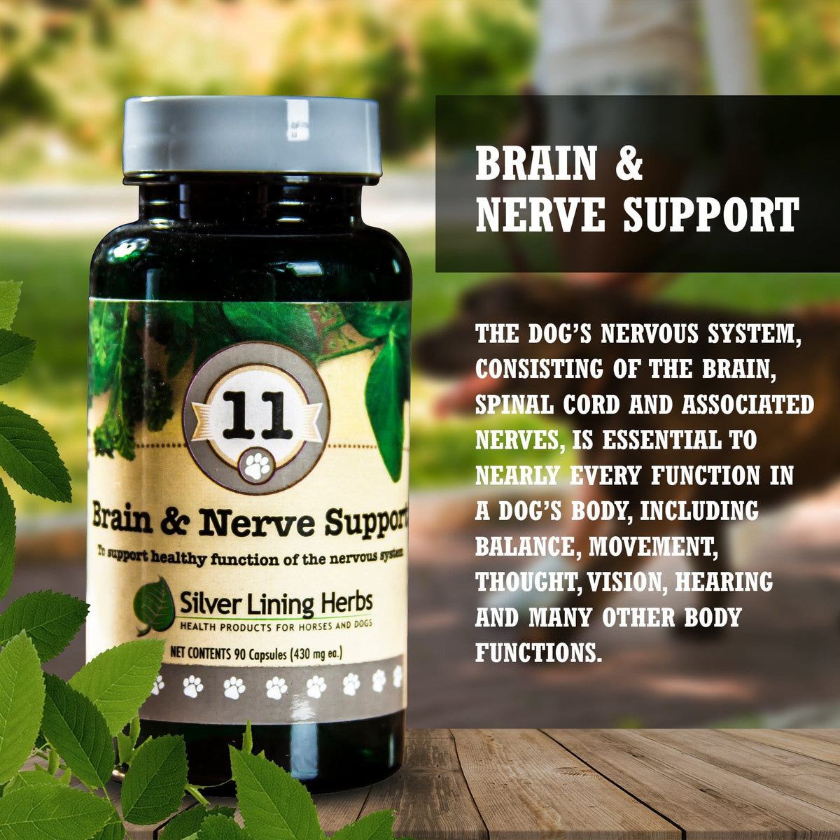 Brain & Nerve Support for Canines