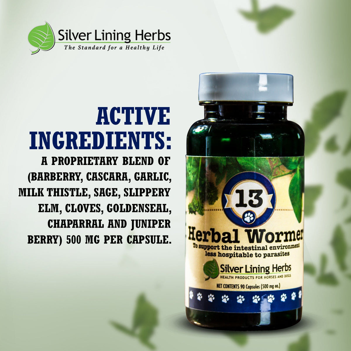 13 Herbal Wormer for Canines -  90 Capsule