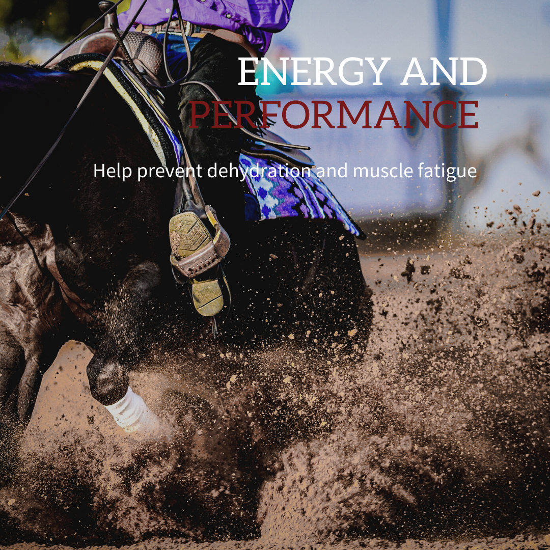Redmond Electrolyte - Horse Electrolyte Paste