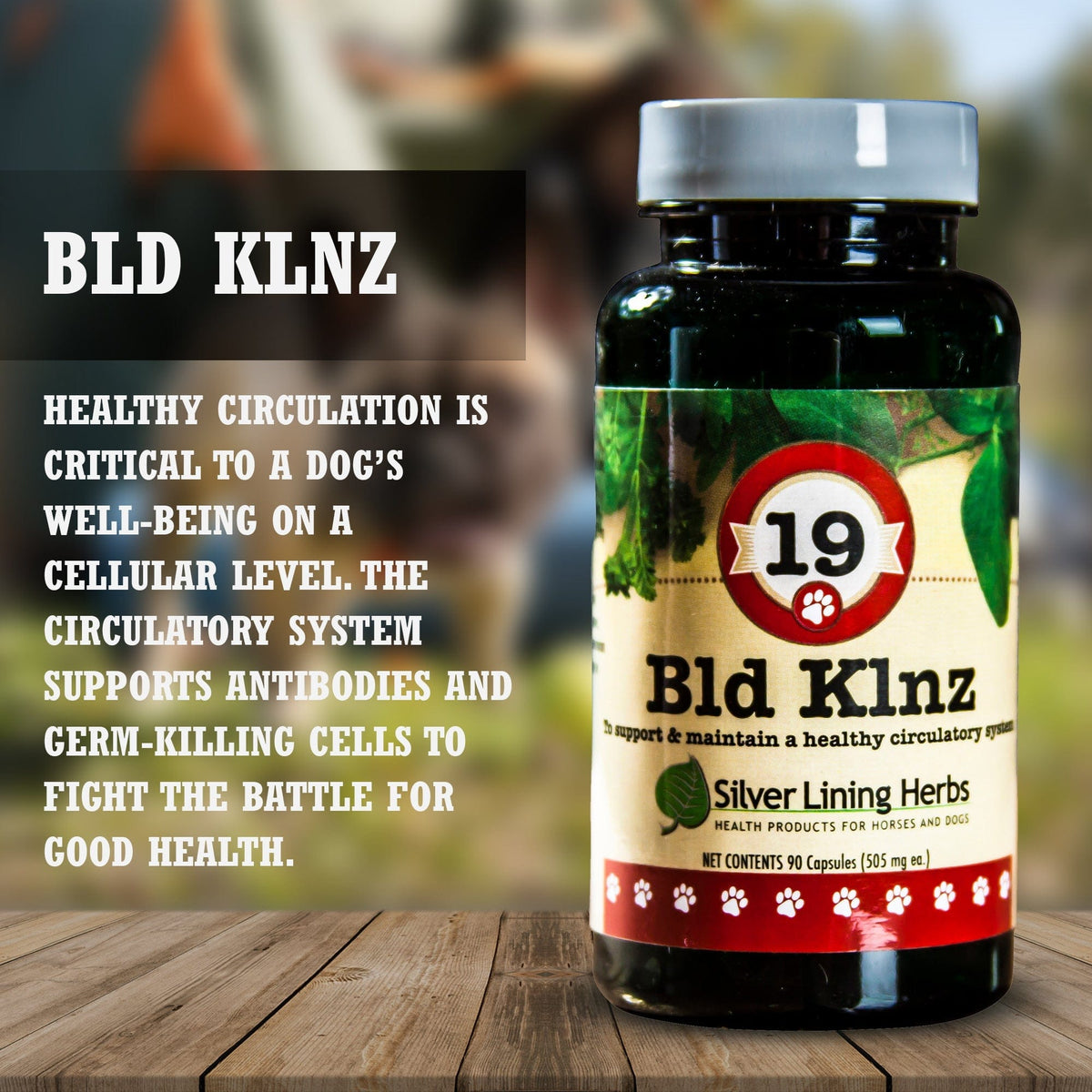 19 Bld Klnz for Canines
