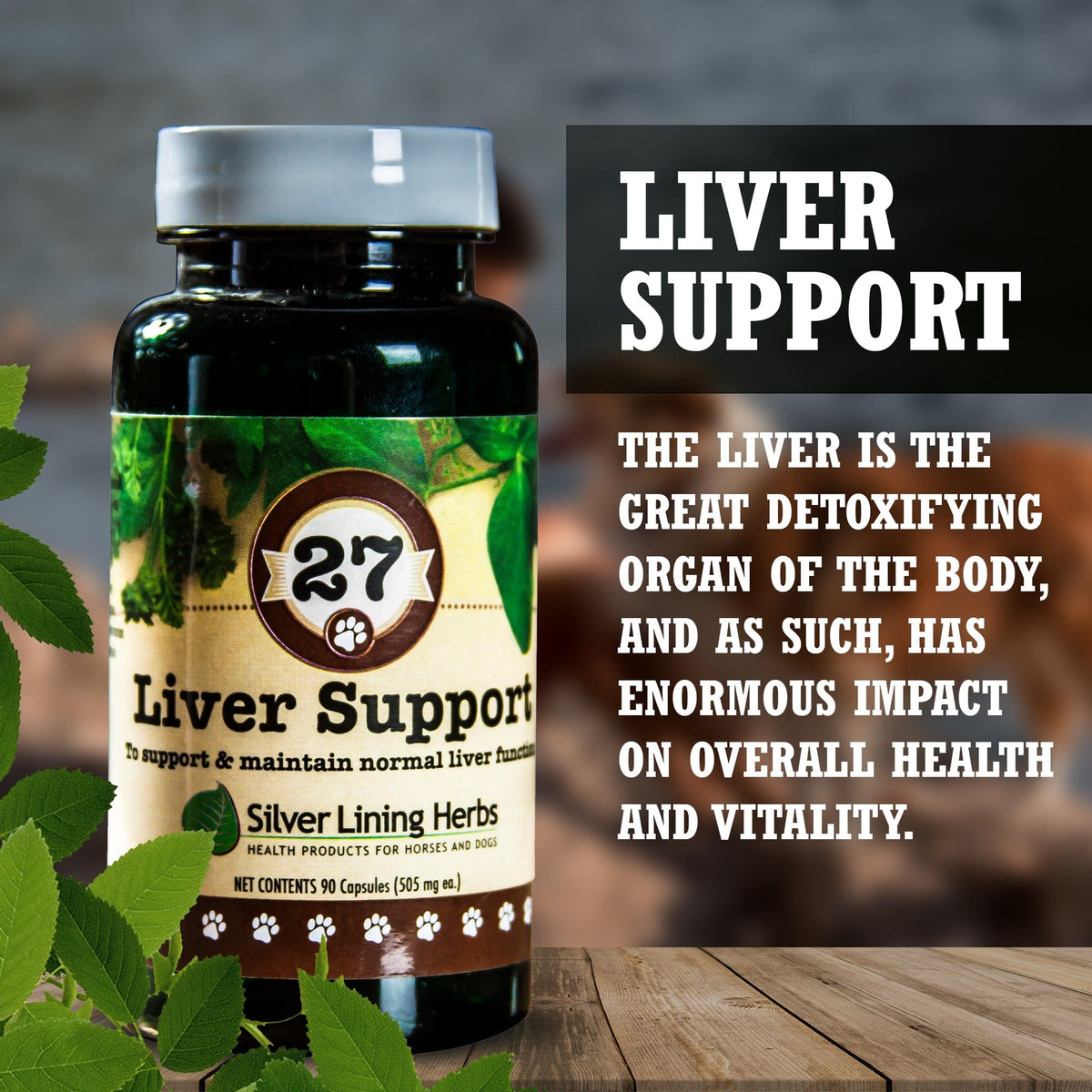 27 Liver Support for Canines