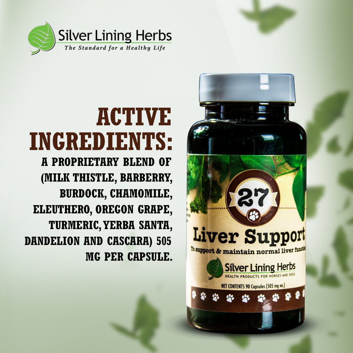 27 Liver Support for Canines