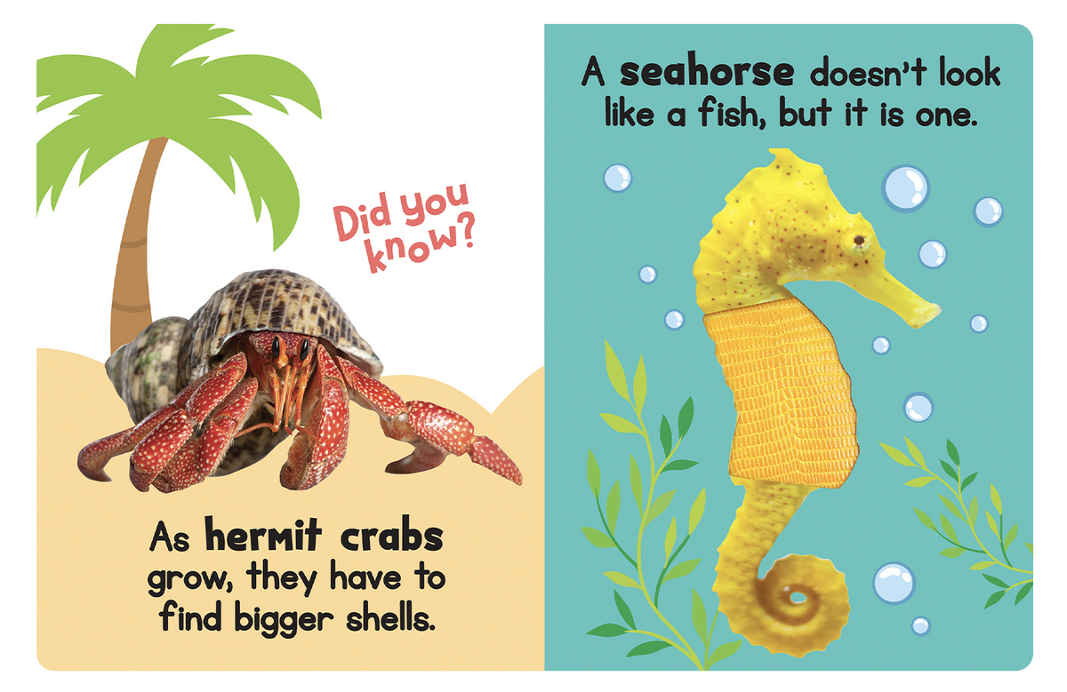Ocean Friends