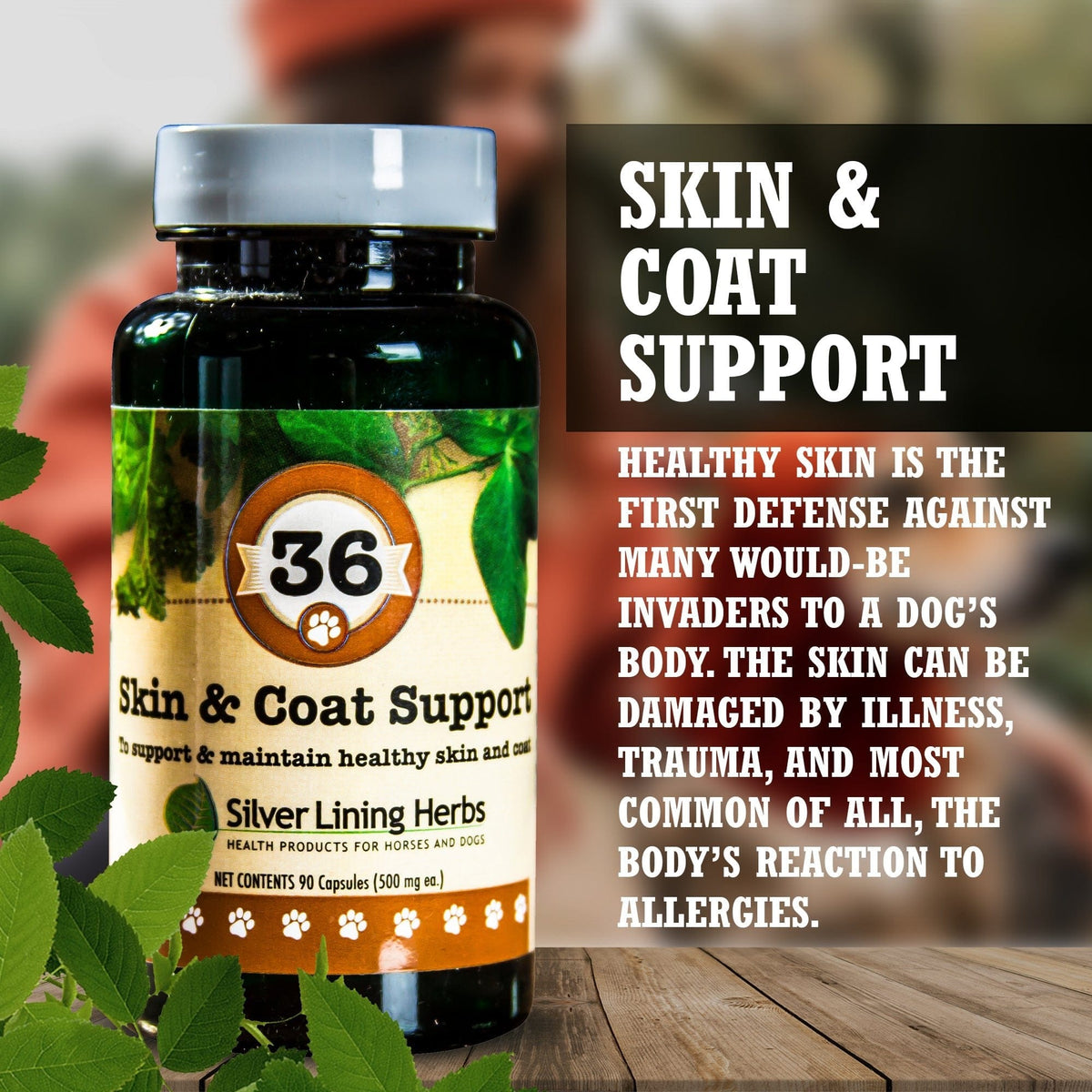 36 Skin & Coat Support for Canines