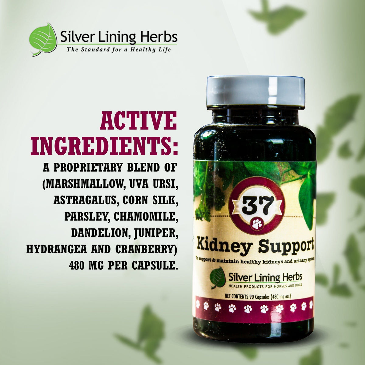 37 Kidney Support for Canines -  90 Capsule
