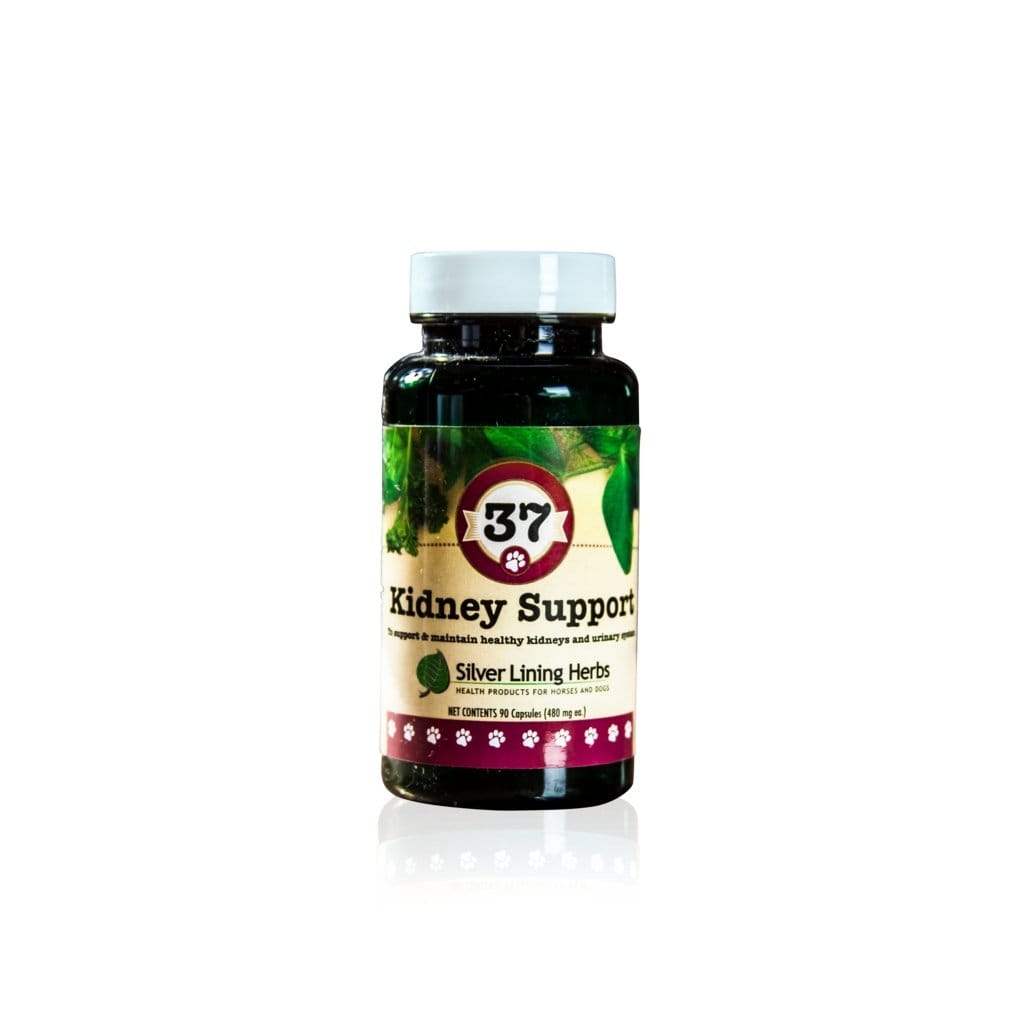 37 Kidney Support for Canines -  90 Capsule