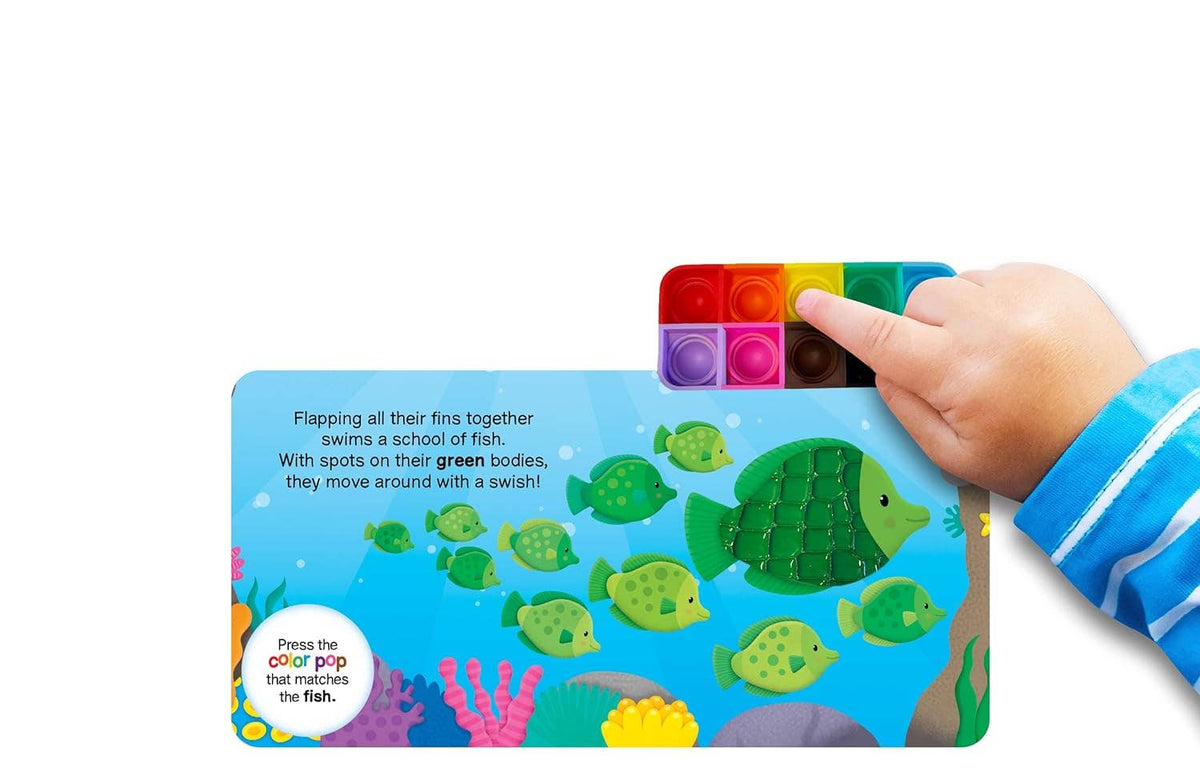 Ocean Colors - Sensory Fidget Toy