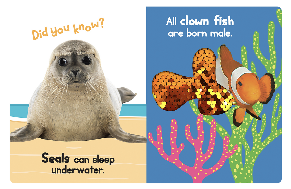 Ocean Friends