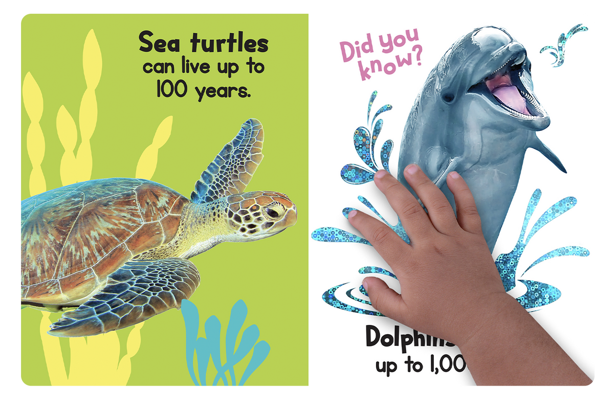 Ocean Friends