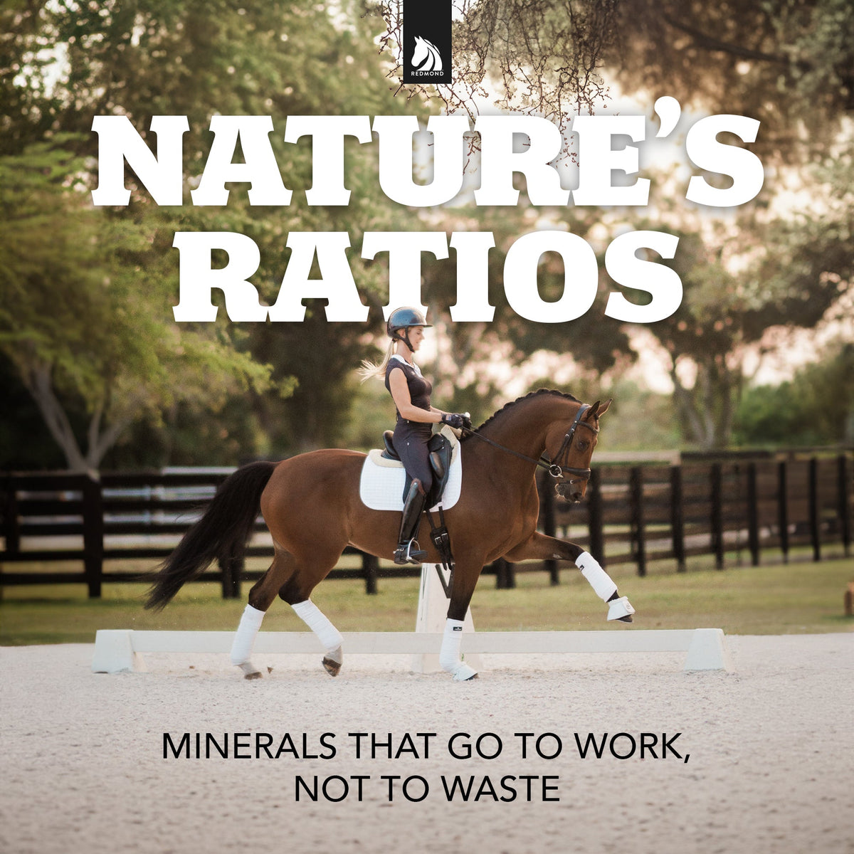 Daily Red® Fortified - Vitamin & Mineral Supplement For Horses