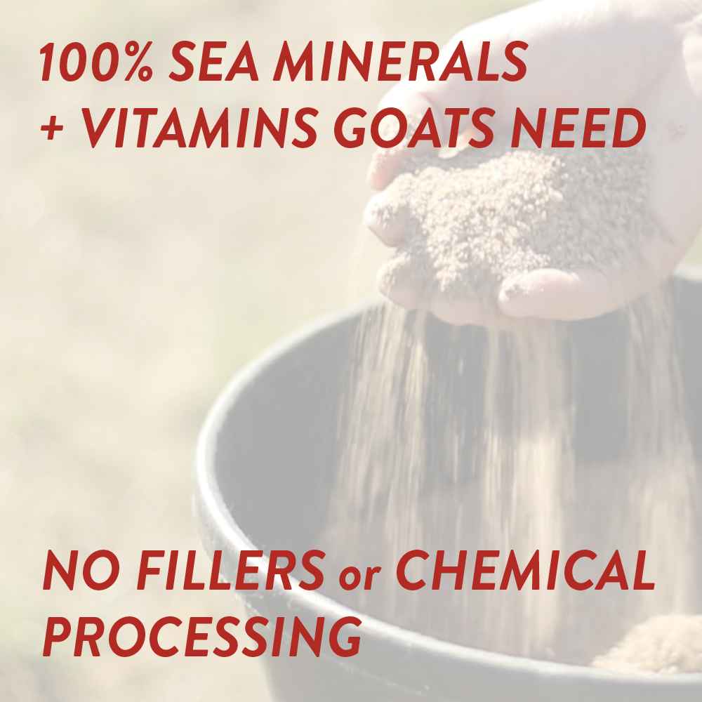 Goat Mineral