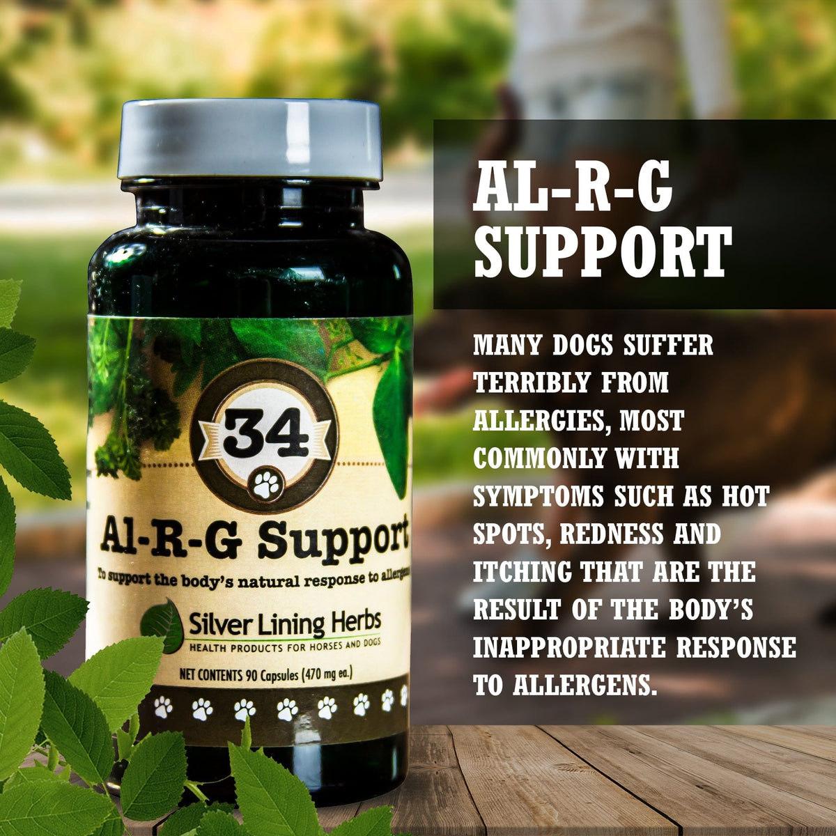 Al-R-G Support for Canines