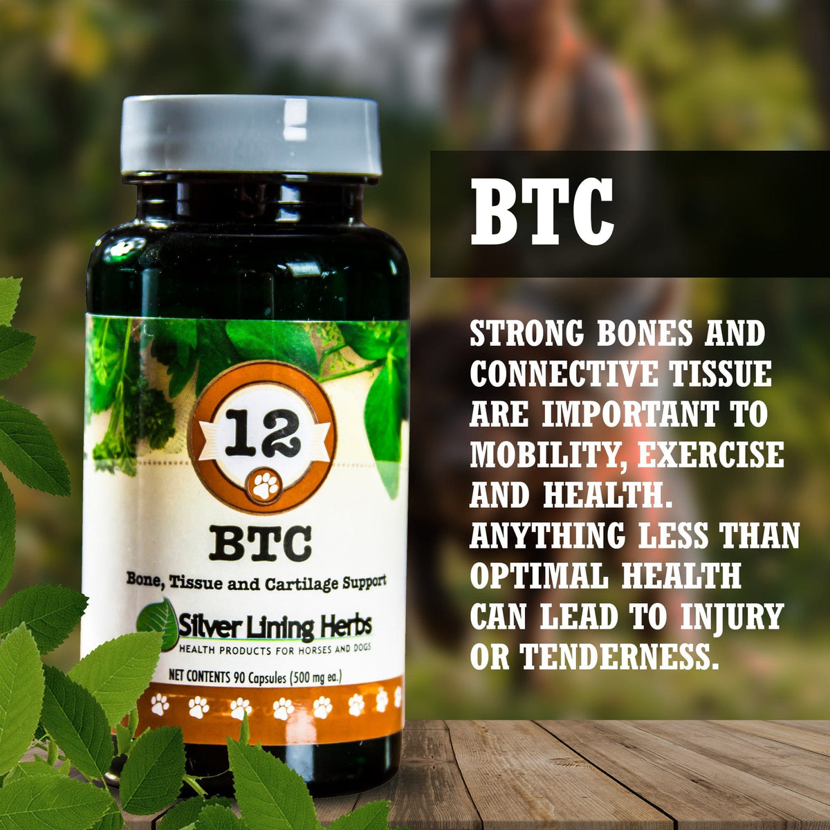 BTC Bone Tissue and Cartilage Support