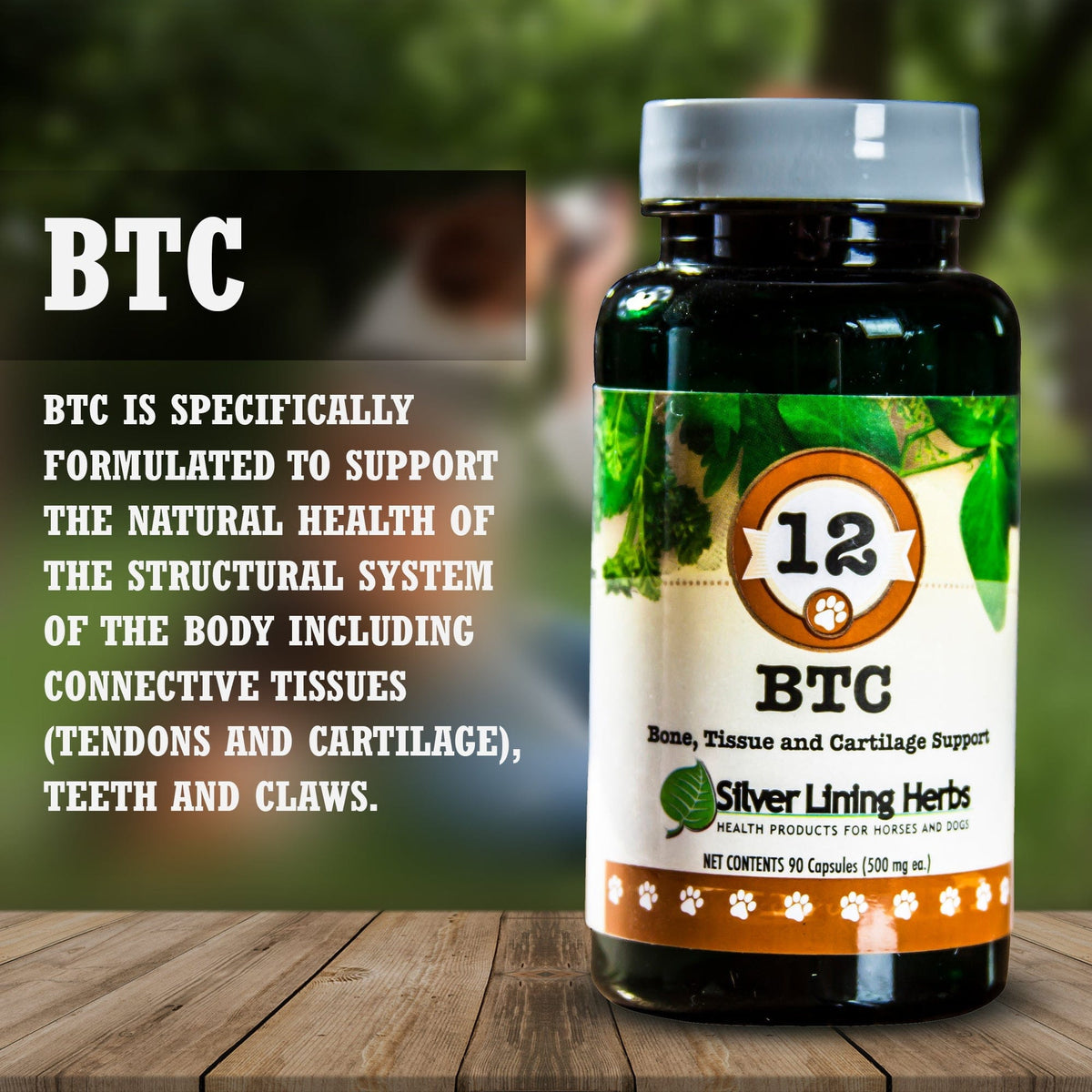 BTC Bone Tissue and Cartilage Support