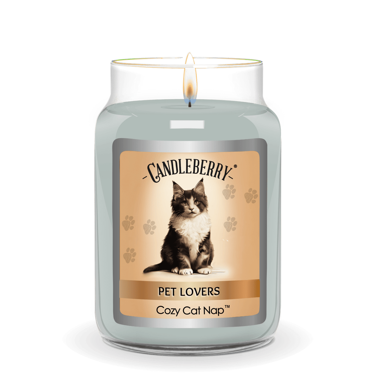 Cozy Cat Nap - Large Jar Candle (Collective)