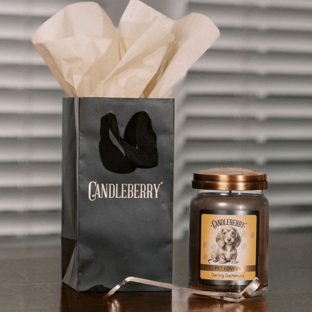 Darling Dachshund - Large Jar Candle (Collective)