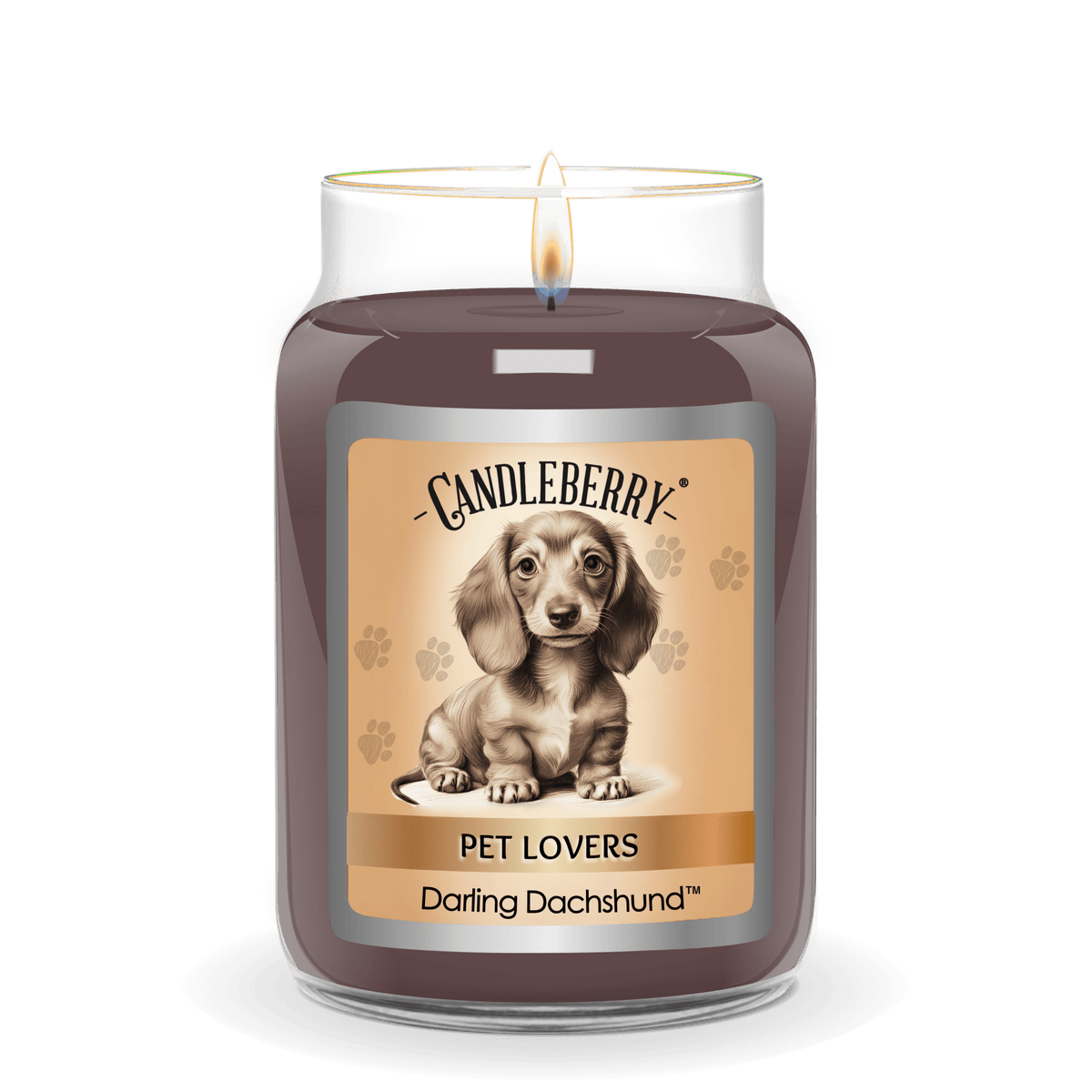 Darling Dachshund - Large Jar Candle (Collective)