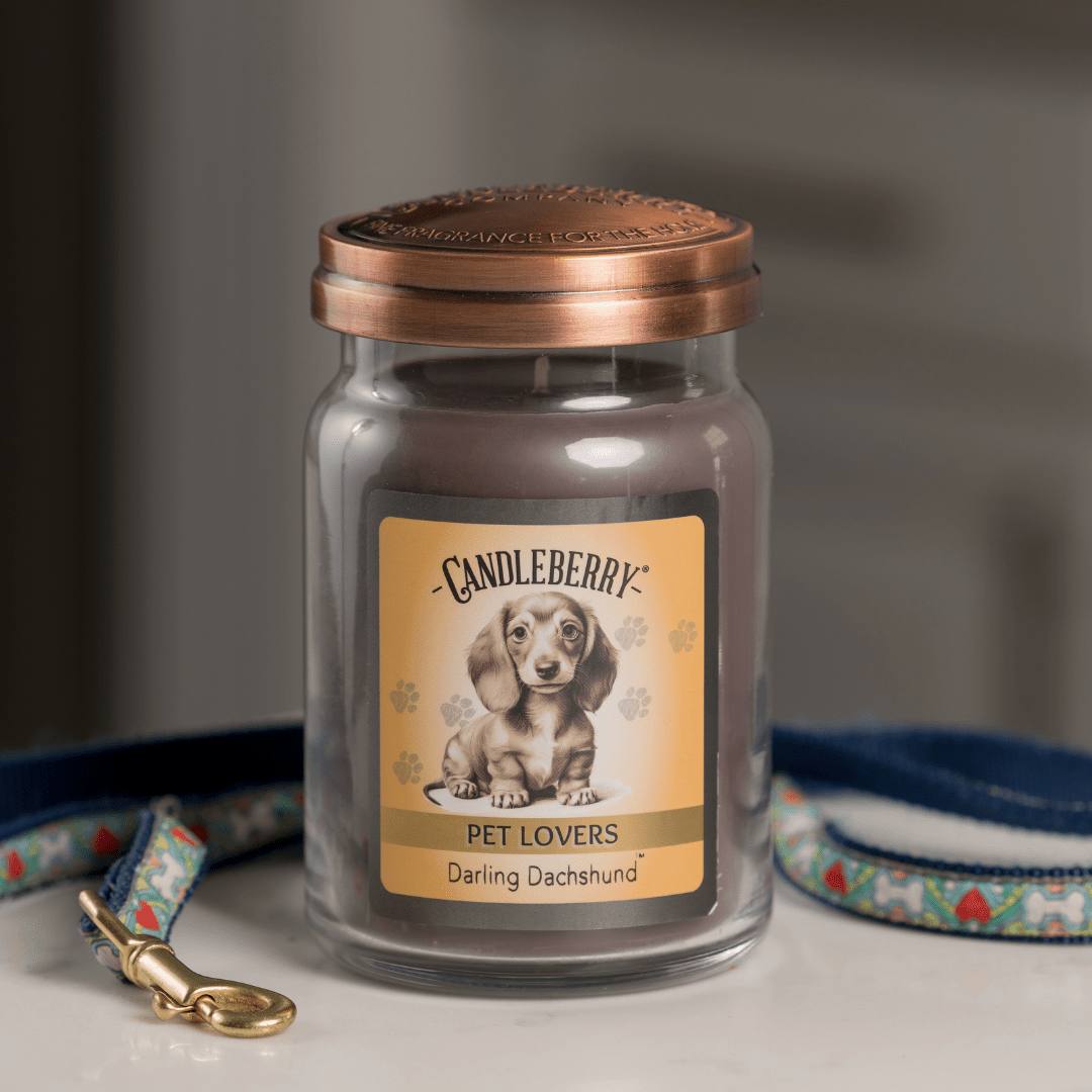Darling Dachshund - Large Jar Candle (Collective)