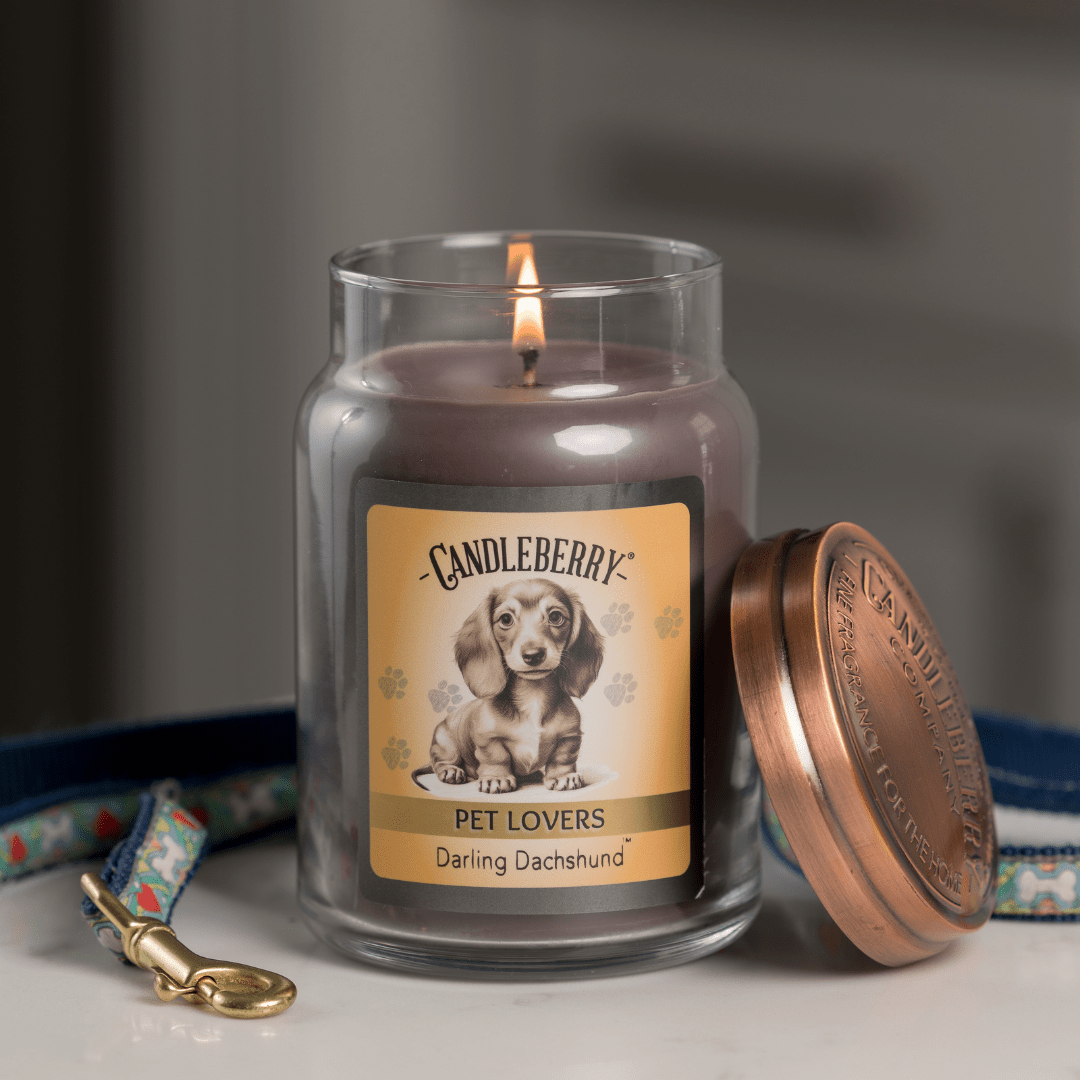Darling Dachshund - Large Jar Candle (Collective)