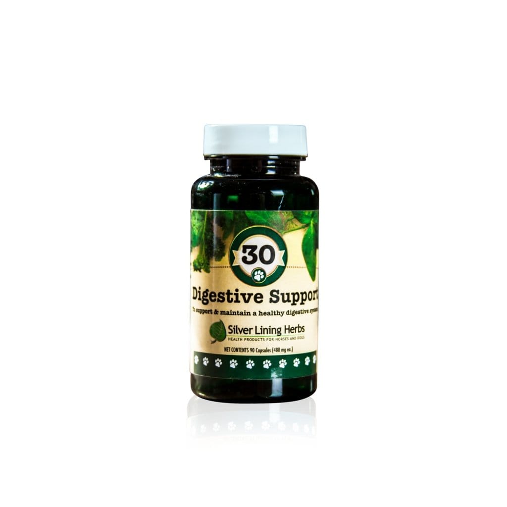 Digestive Support for Canines