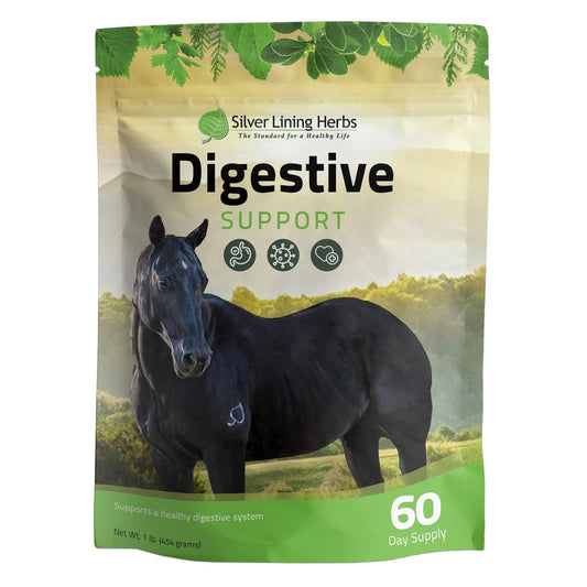 Digestive Support for Horses