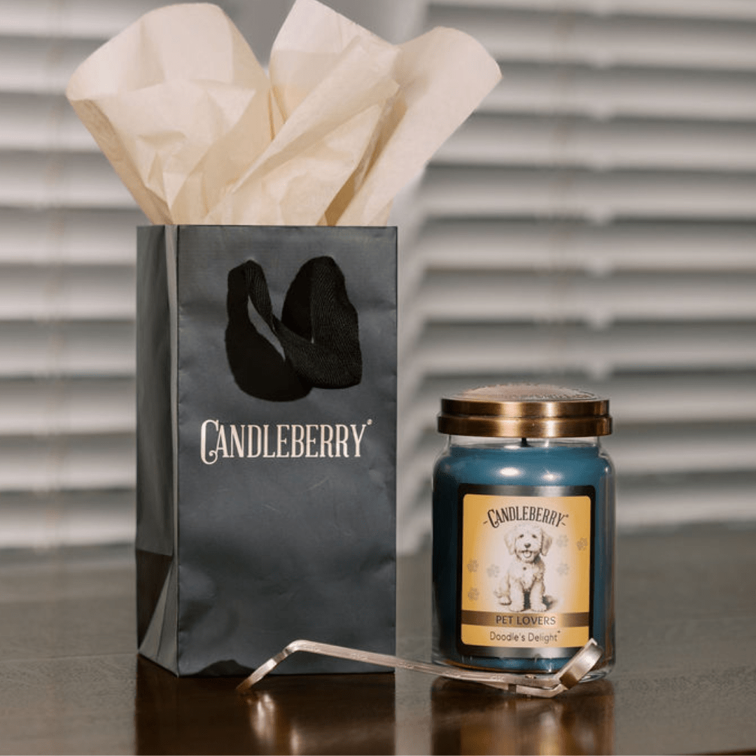Doodle's Delight - Large Jar Candle (Collective)