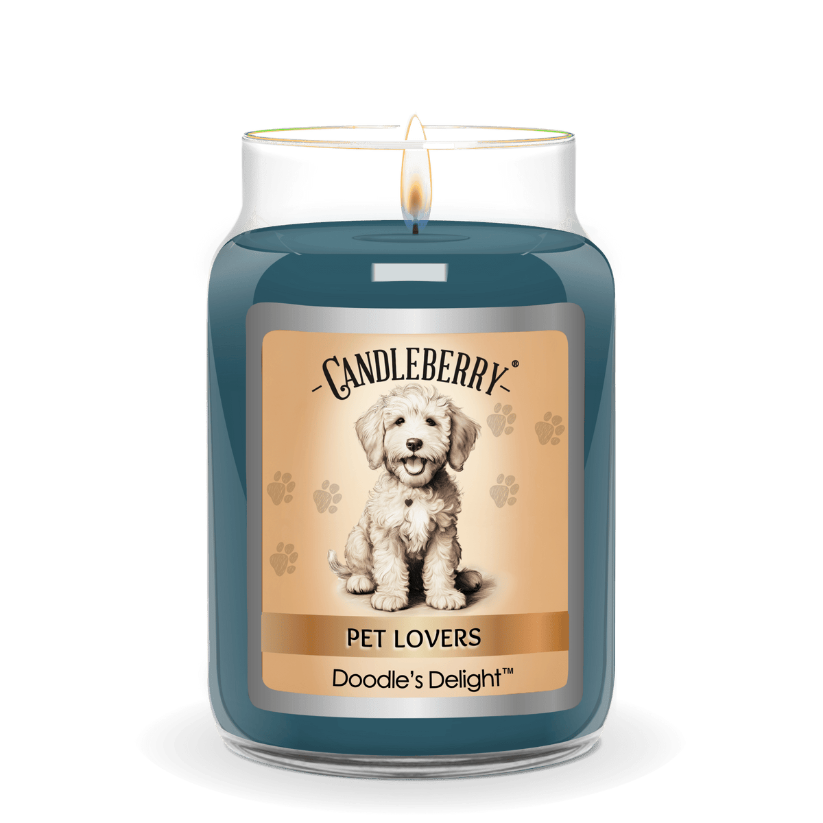 Doodle's Delight - Large Jar Candle (Collective)