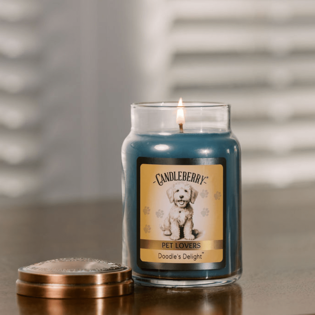 Doodle's Delight - Large Jar Candle (Collective)