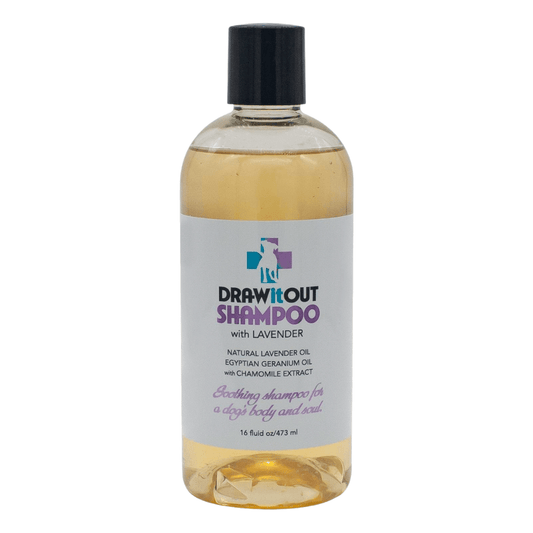 Draw It Out® Soothing Relief Dog Shampoo with Lavender 16oz