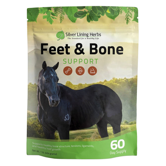 Feet & Bone Support for Horses