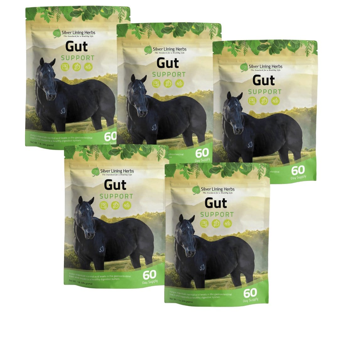 Gut Support for Horses