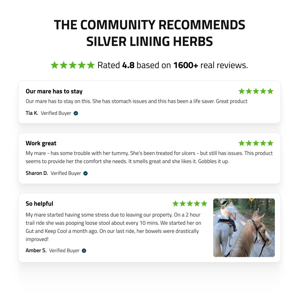 Gut Support for Horses