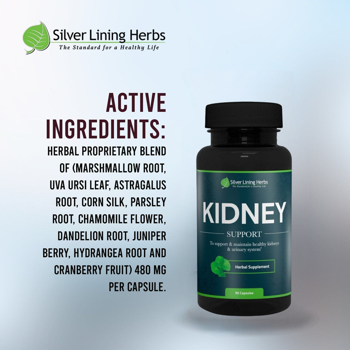 Herbal Kidney Support For Humans