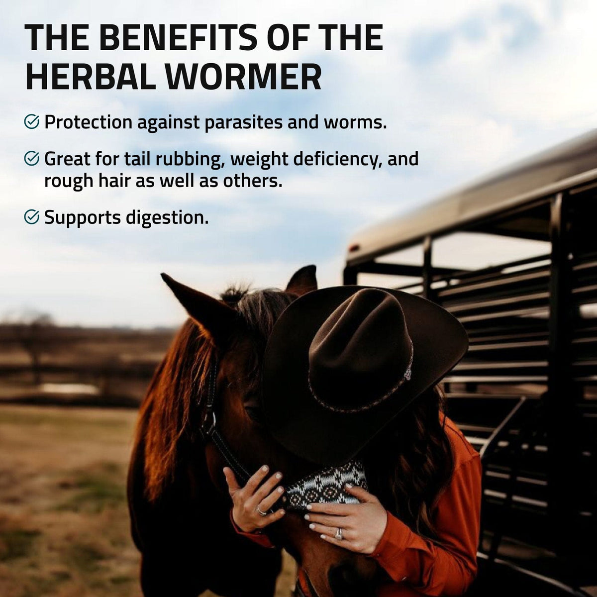Herbal Wormer for Horses