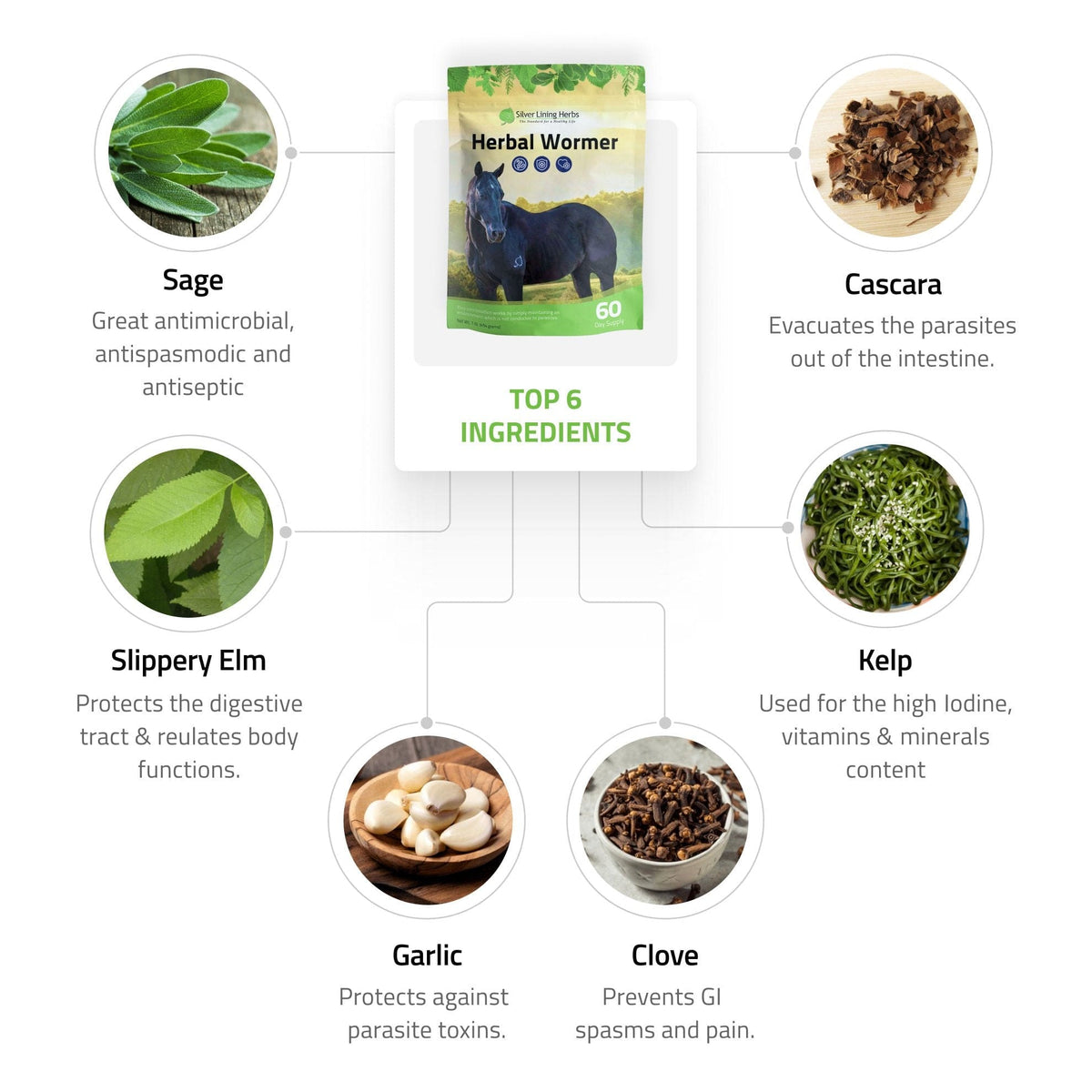 Herbal Wormer for Horses