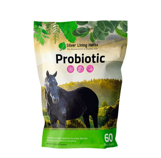 Horse Probiotics