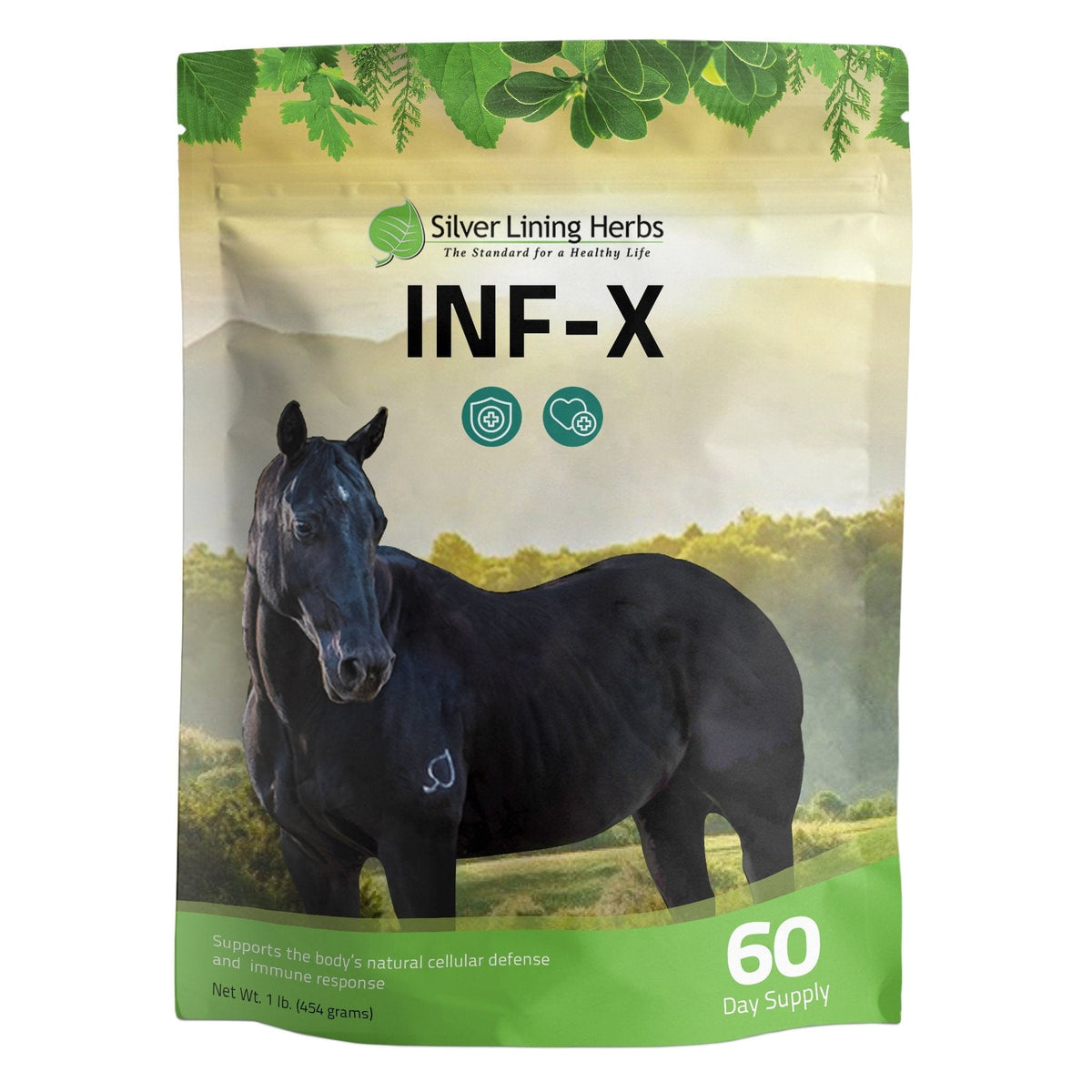 INF-X for Horses